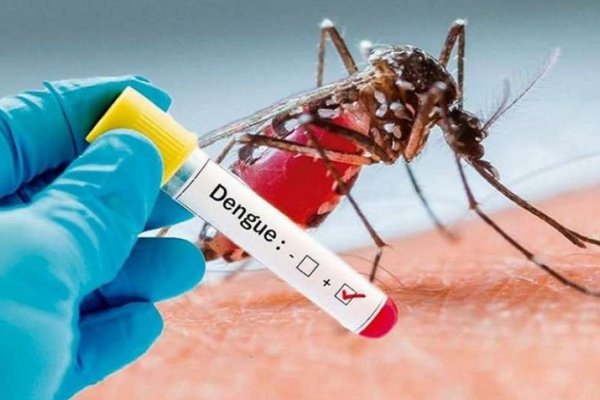 Dengue: recomendaciones para fueguinos que viajen a zonas con circulación