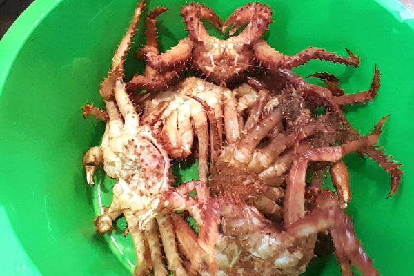 Se decomisaron piezas de centolla en un restaurante de Ushuaia