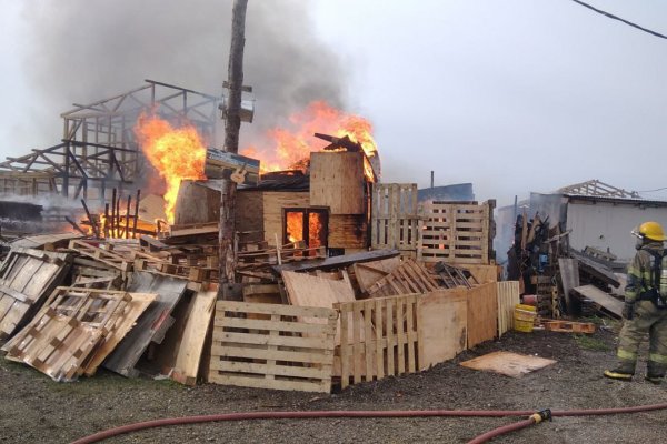 Salamandra provaca incendio en una chacra de Río Grande