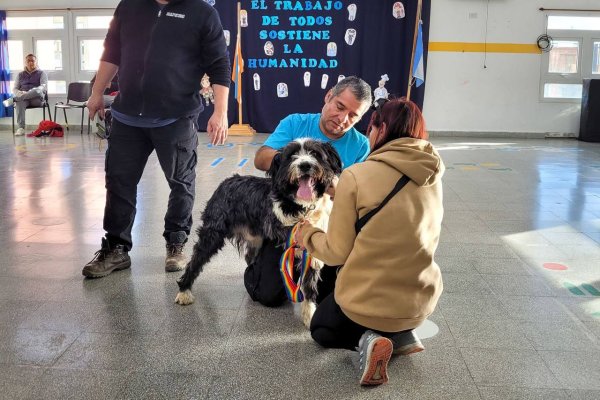 Tolhuin lanza la 3° campaña de salud veterinaria del año 2025