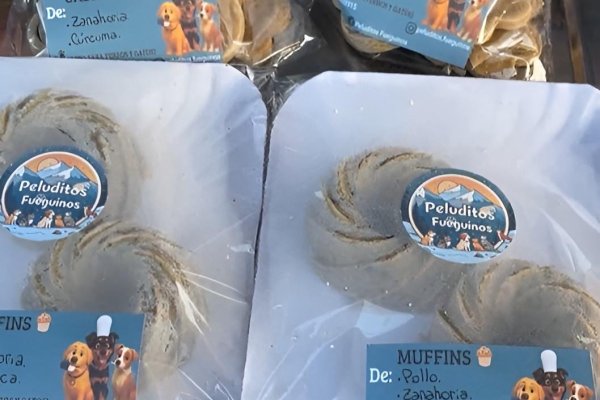 “Peluditos Fueguinos”: joven emprendedora lanza alimentos naturales para mascotas