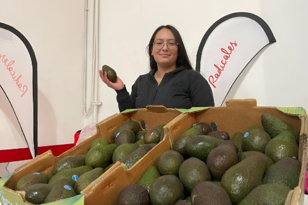 Victoria, la emprendedora que se destaca con paltas frescas