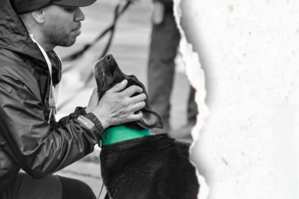Tolhuin impulsa jornadas gratuitas sobre educación canina y tenencia responsable