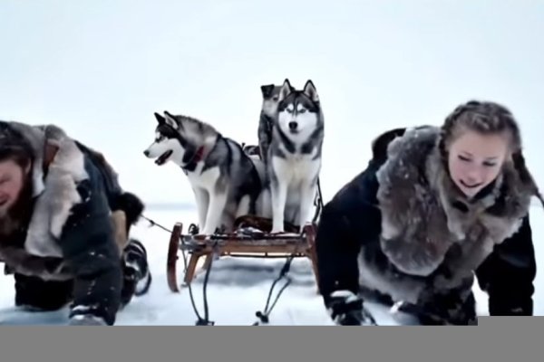 ARAF inició su campaña en los centros invernales para que los huskies no sean animales de tiro